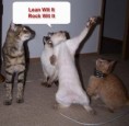 /album/photogallery/funny-dancing-cats-jpg/
